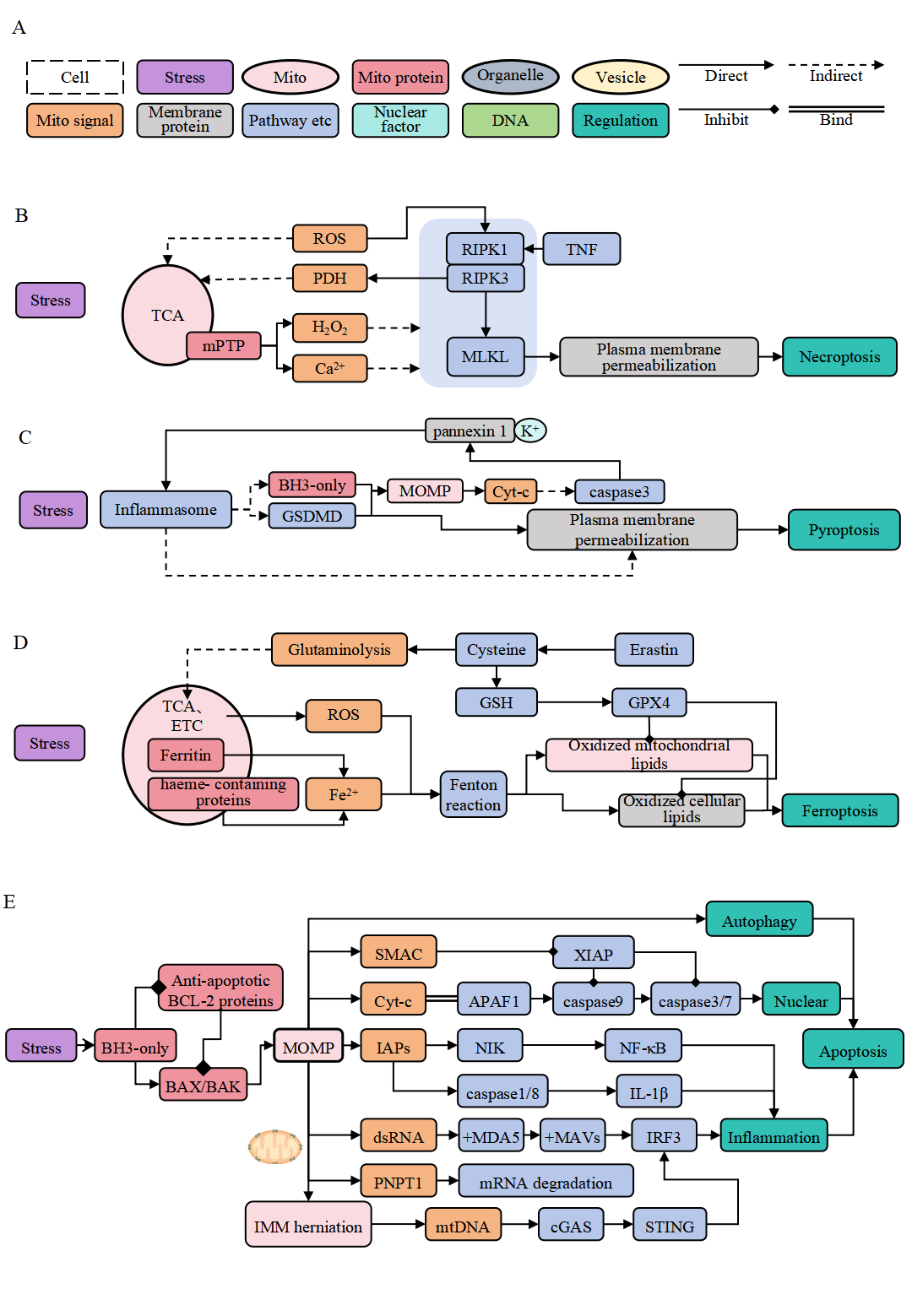 Description of the image